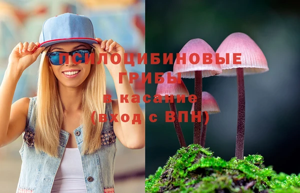 экстази Арсеньев
