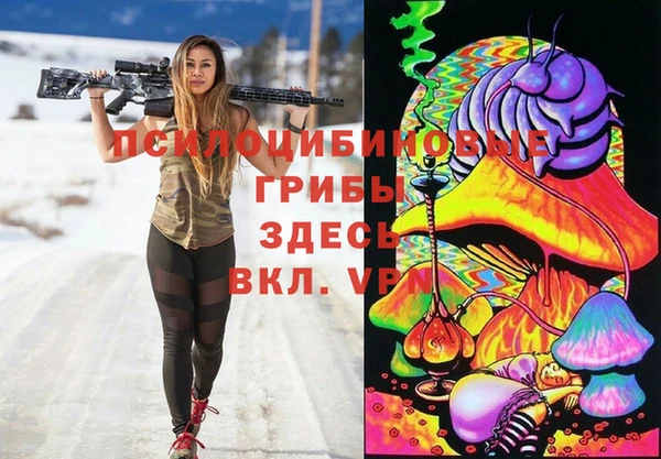 экстази Арсеньев